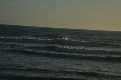 DSC_7267 (Large).JPG